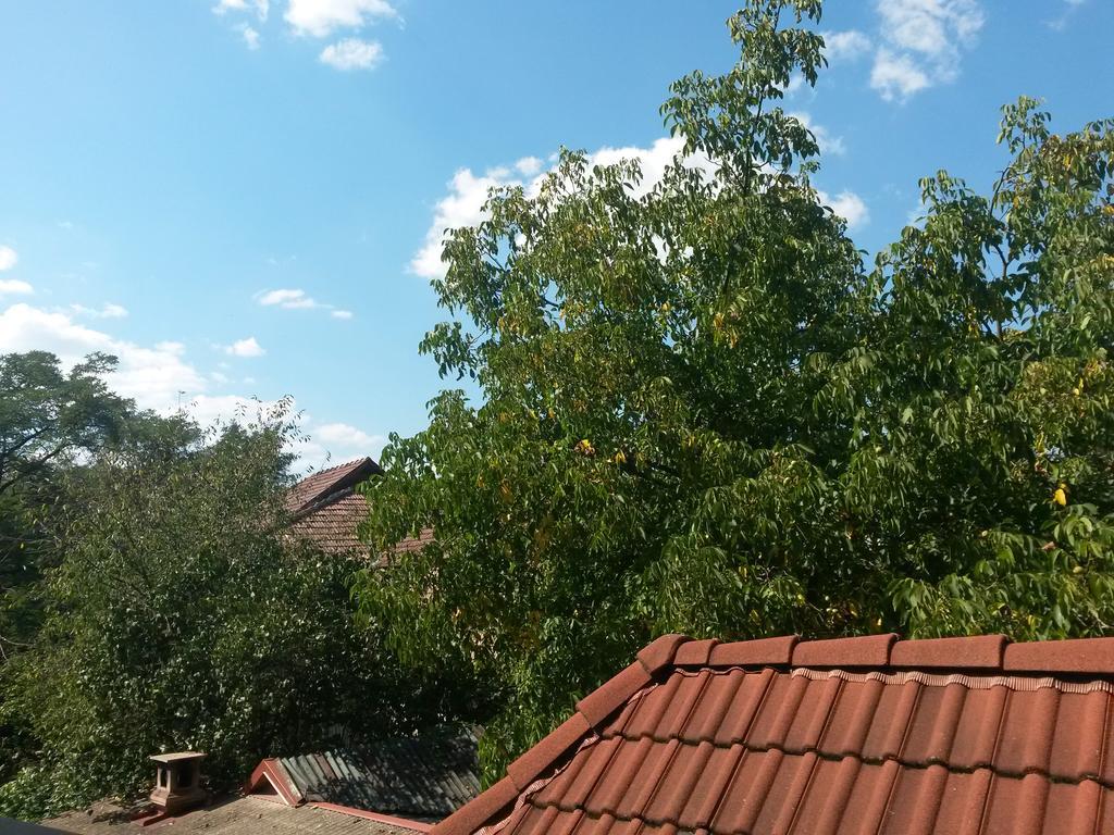 Pensiunea Lőrincz *** Panzió Szováta Kültér fotó