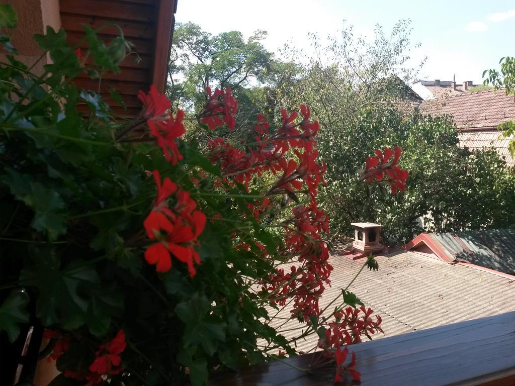 Pensiunea Lőrincz *** Panzió Szováta Kültér fotó