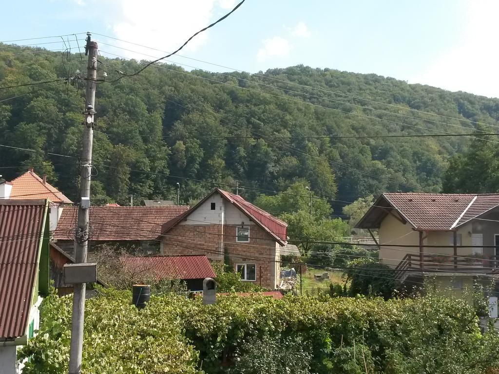 Pensiunea Lőrincz *** Panzió Szováta Kültér fotó