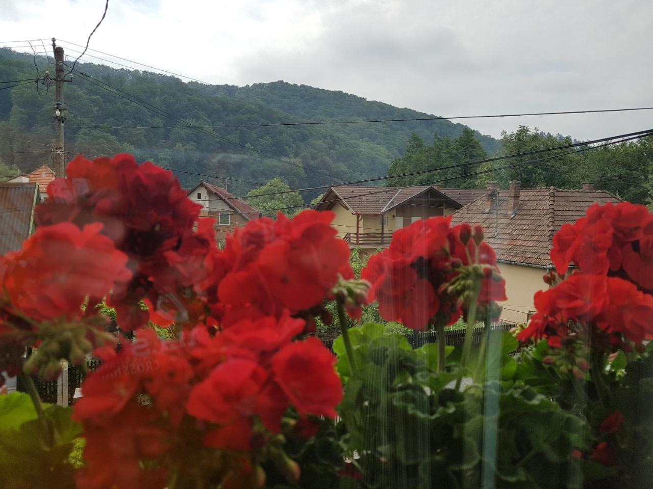 Pensiunea Lőrincz *** Panzió Szováta Kültér fotó